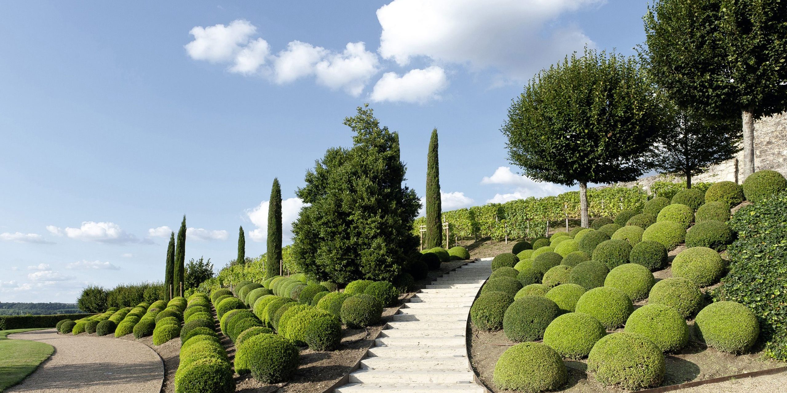 Evergreen Landscaping