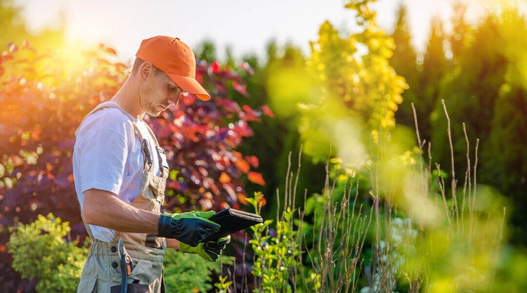 landscape contract