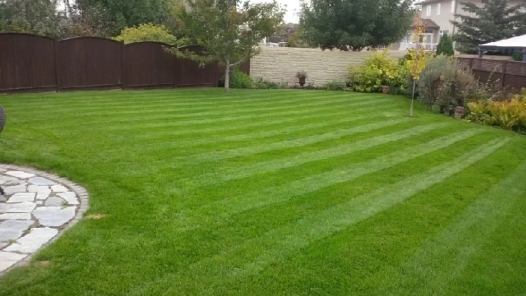 AAA Landscaping