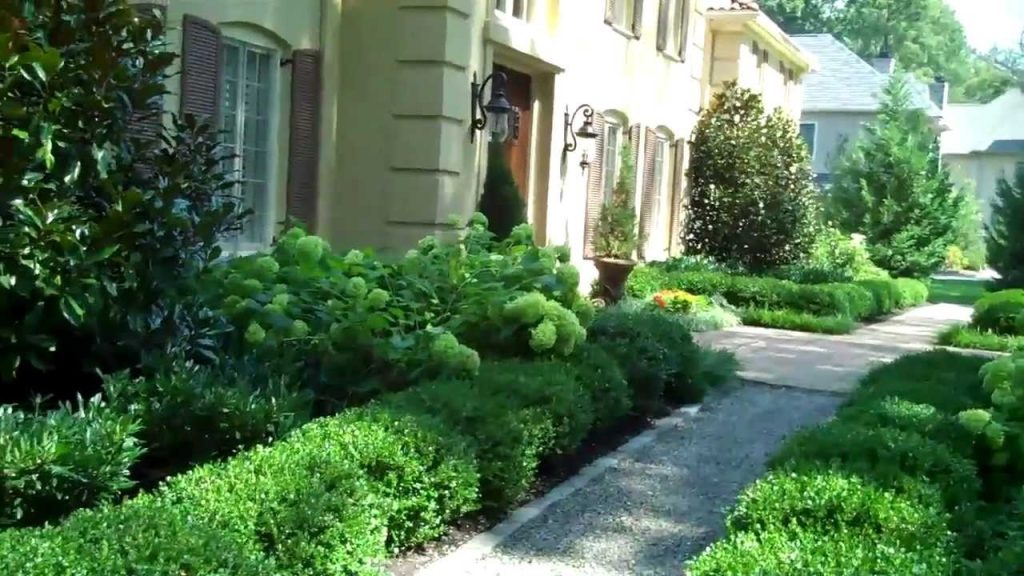 Green Landscape