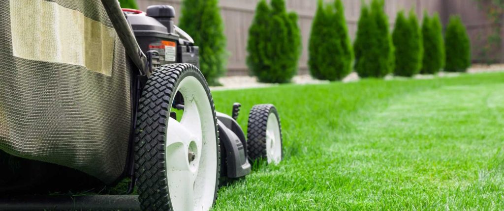 Greenscape Landscaping