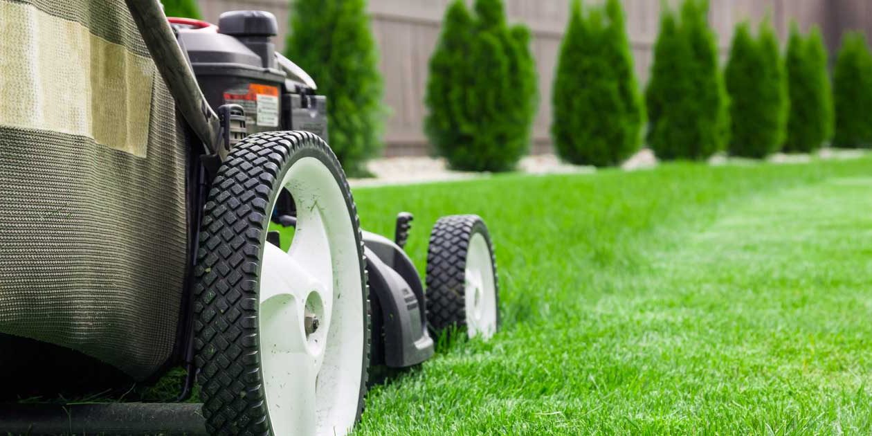 Greenscape Landscaping