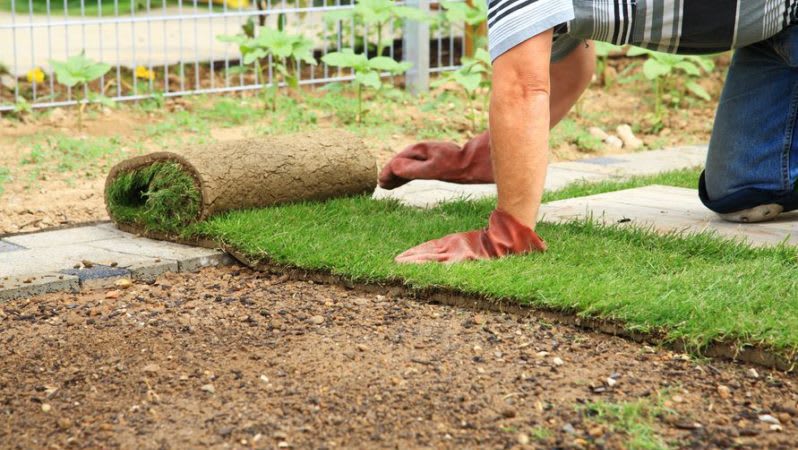 Landscape Installation