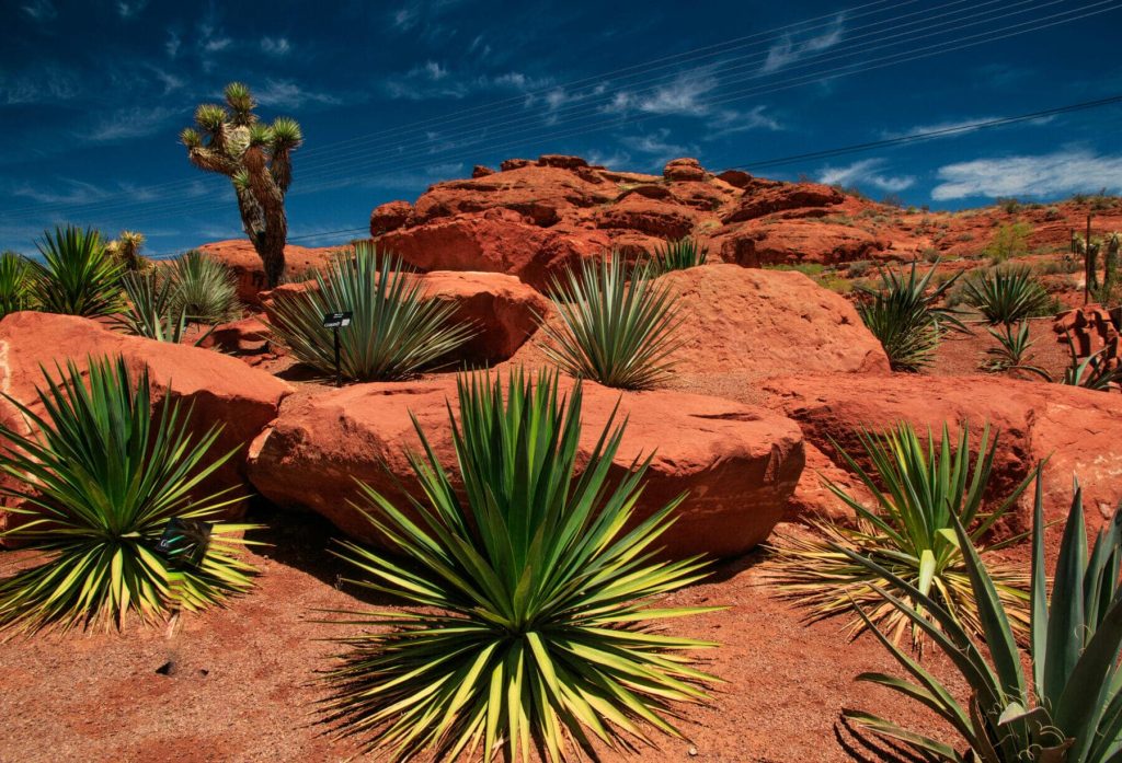 Utah Landscape