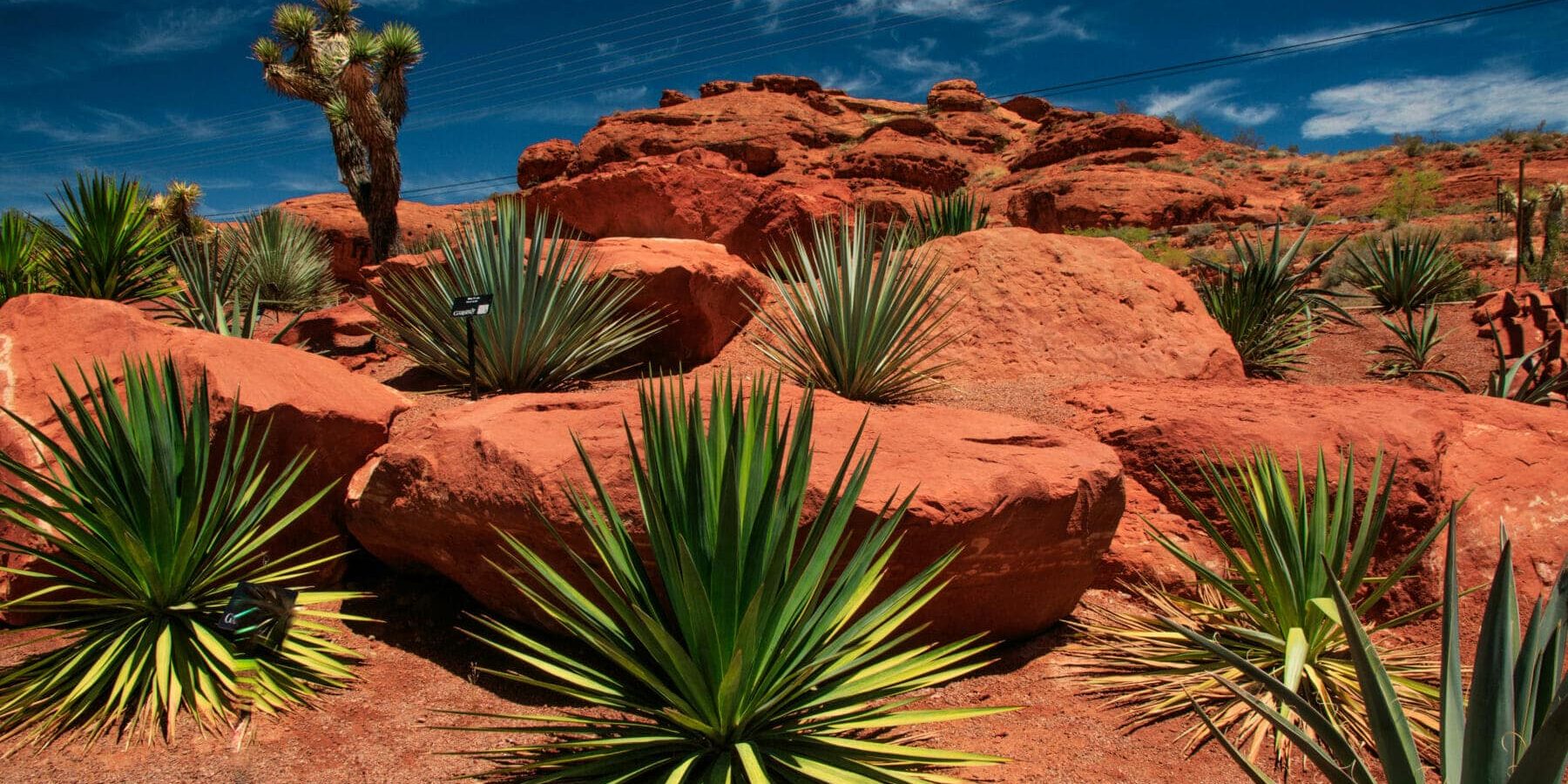 Southern Utah Desert Utah Landscape