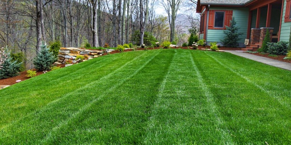 Clean Cut Landscaping