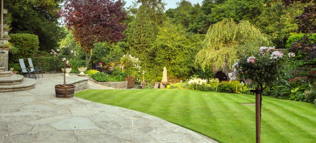 Evergreen Landscapes