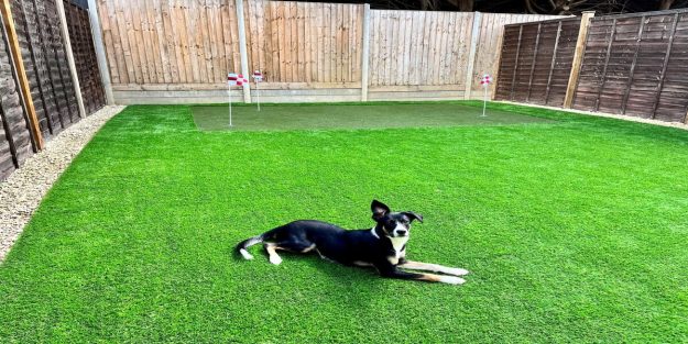 Artificial Turf for Dogs