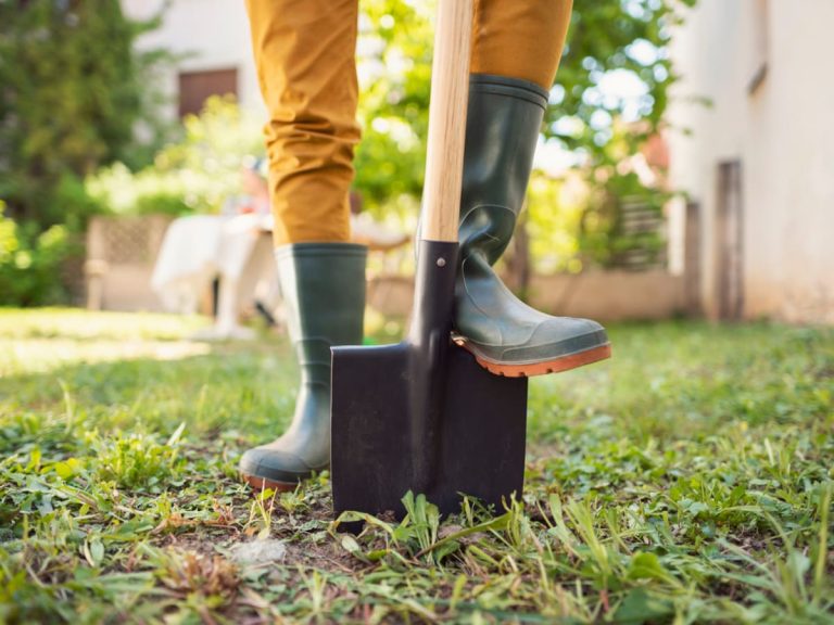 Landscaping Boots