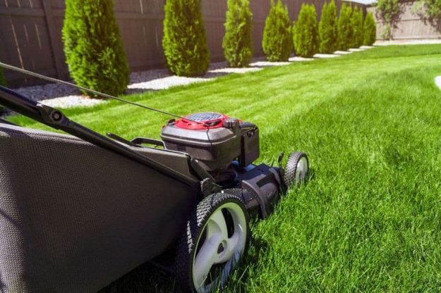 Lawn Care Services