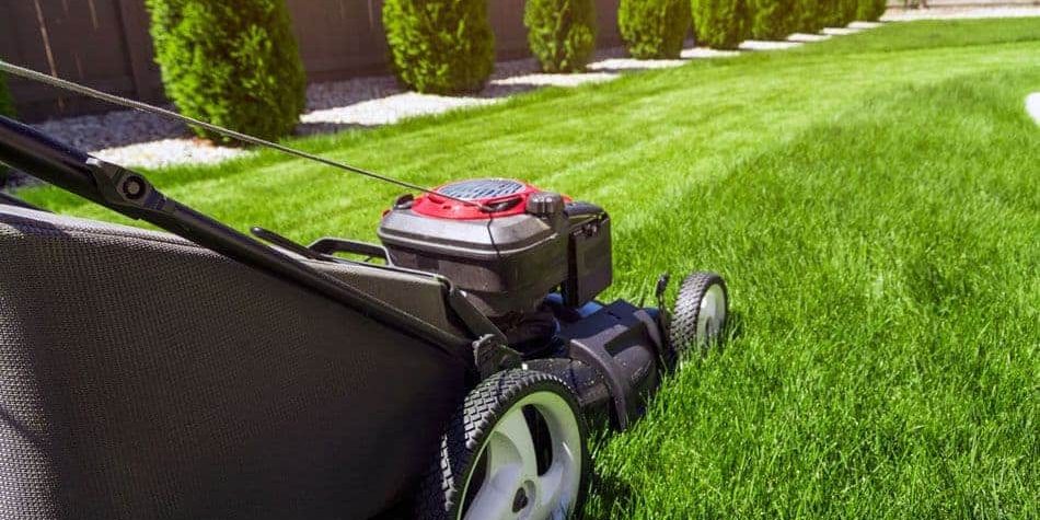 Lawn Care Services