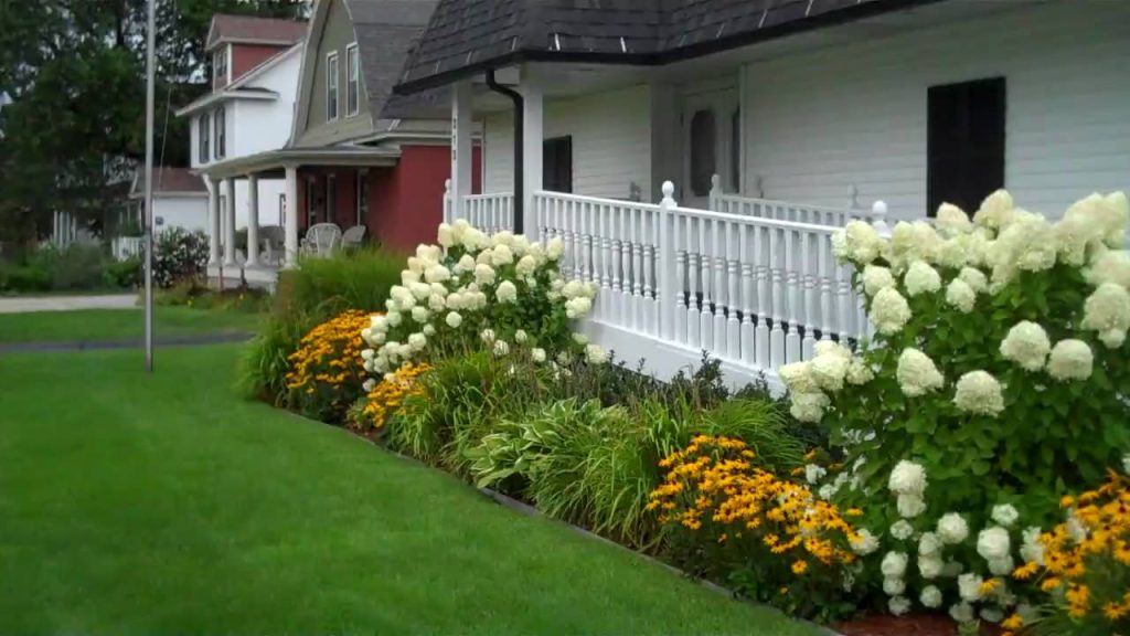 Hydrangeas in Landscaping