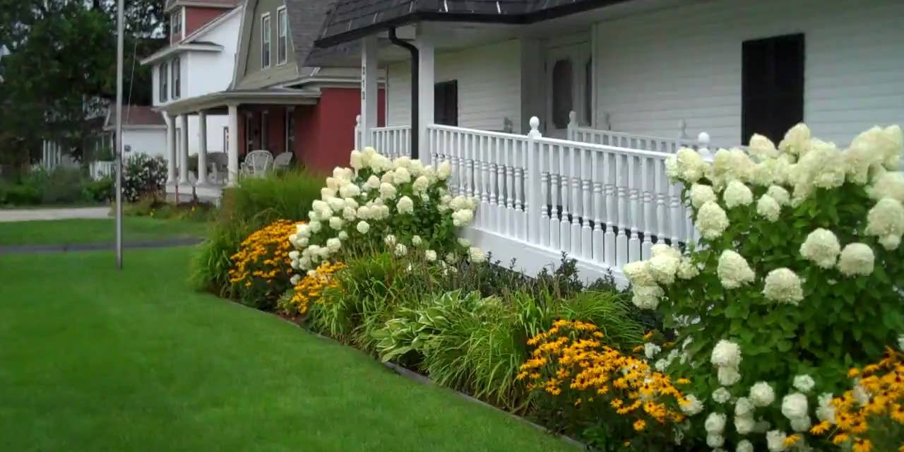 Hydrangeas in Landscaping