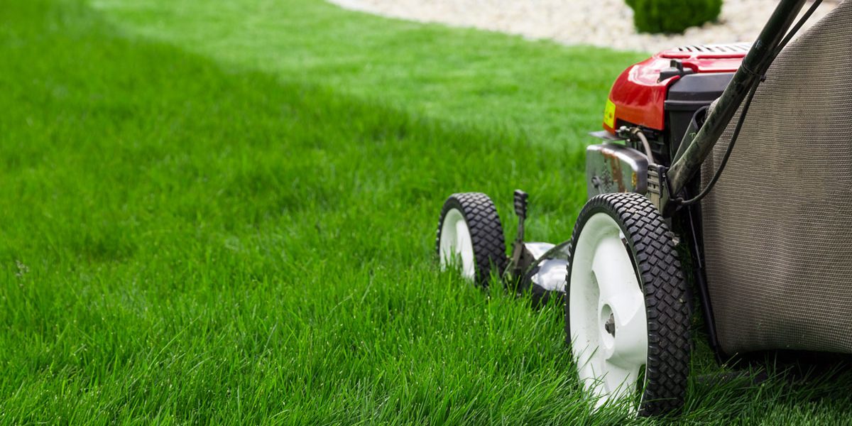 mowing the yard