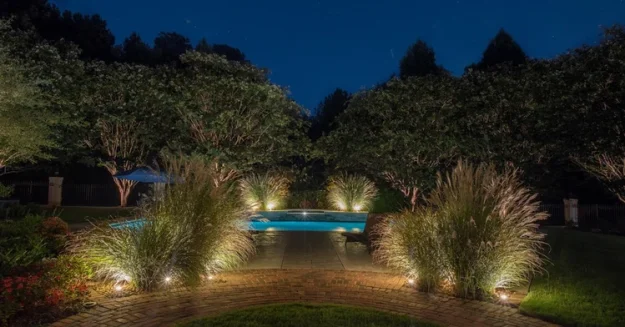 Landscape Lighting for Trees