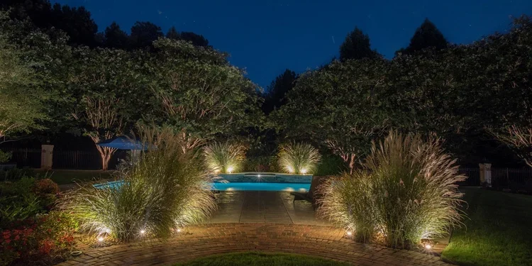 Landscape Lighting for Trees
