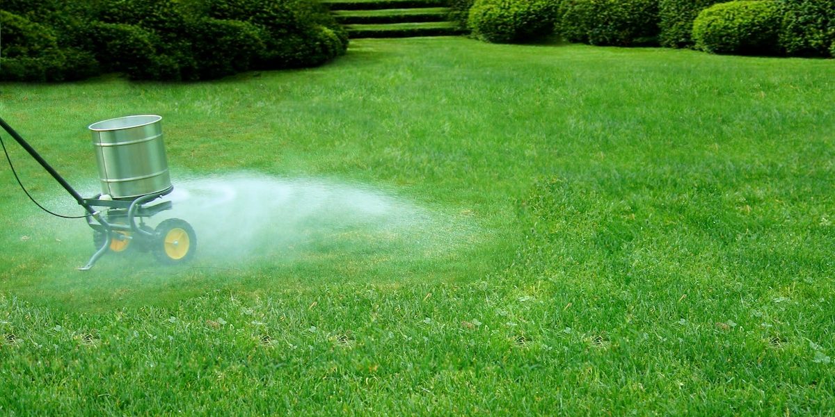 lawn care Winter Lawn Care