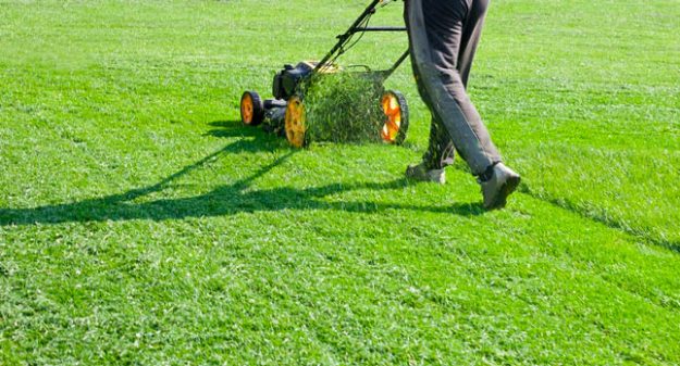 Landscaping and Lawn Care