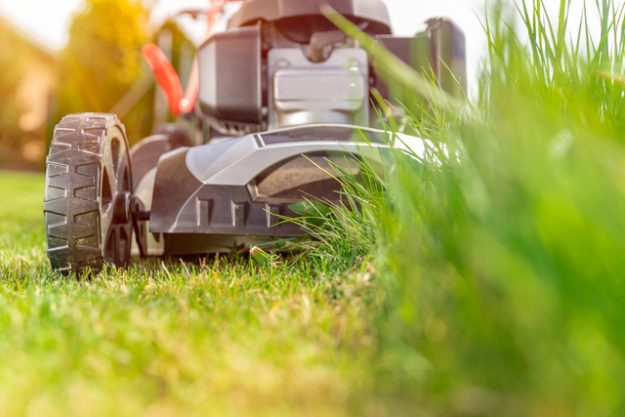 Lawn Care Business