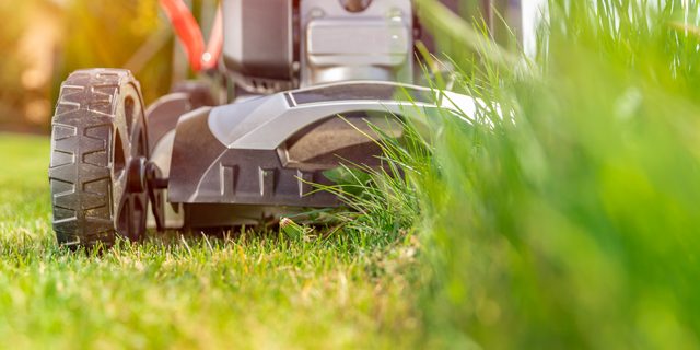 Lawn Care Business