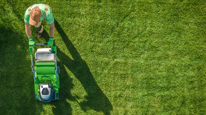 Lawn Care Business