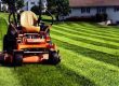 Lawn Care Landscaping