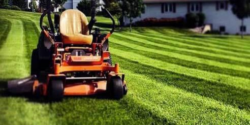 Lawn Care Landscaping