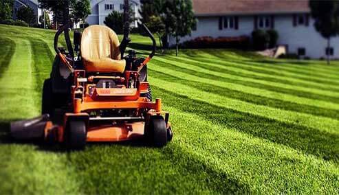 Lawn Care Landscaping