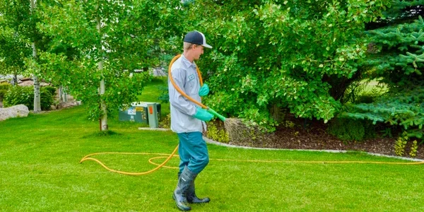 Lawn Care Professionals Lawn Care Professionals