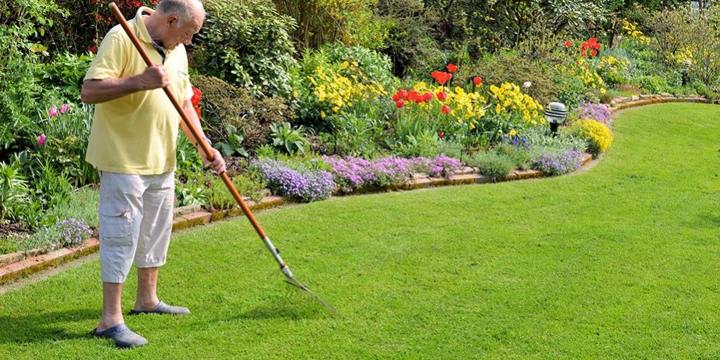 Lawn Care Tips Lawn Care Tips