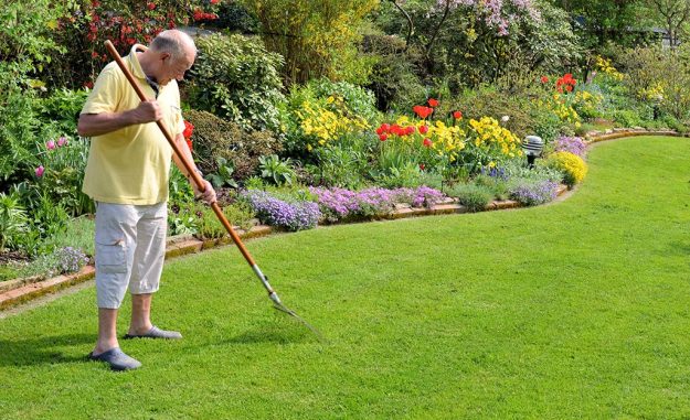 Lawn Care Tips