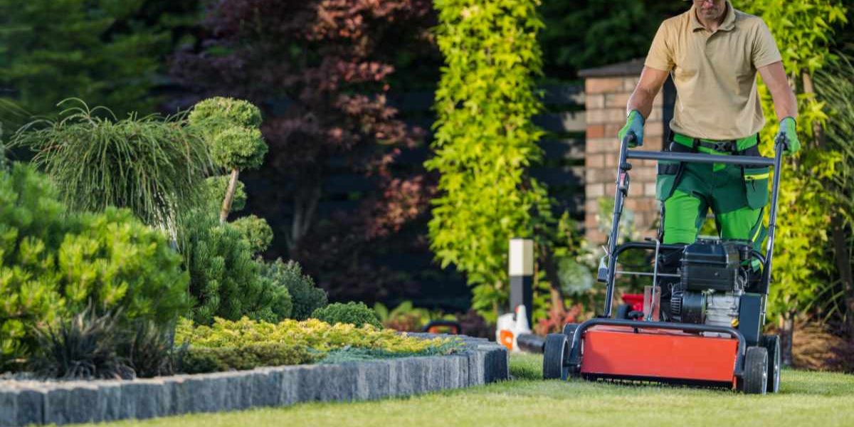 Lawn Treatments and Tips