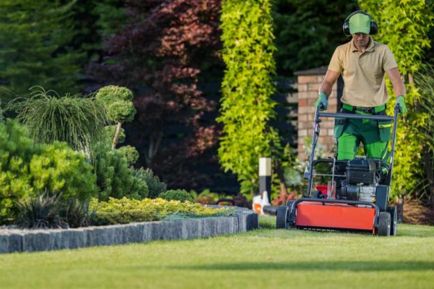 Lawn Treatments and Tips