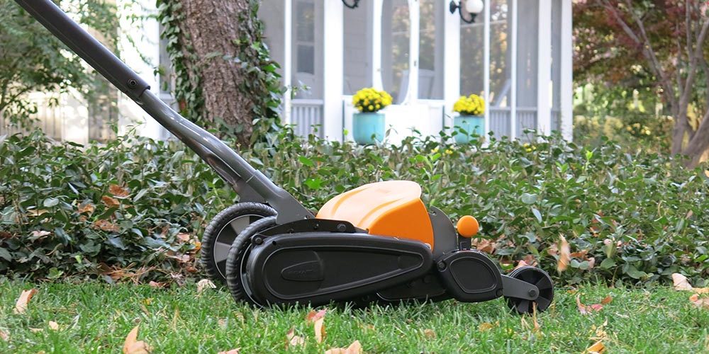 Winter Lawn Care