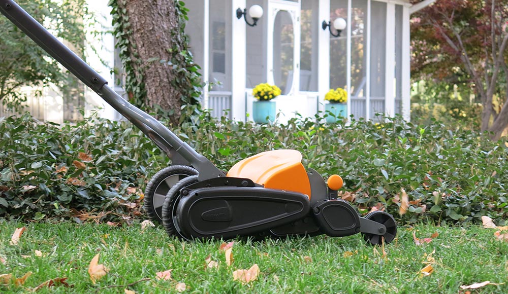 Winter Lawn Care