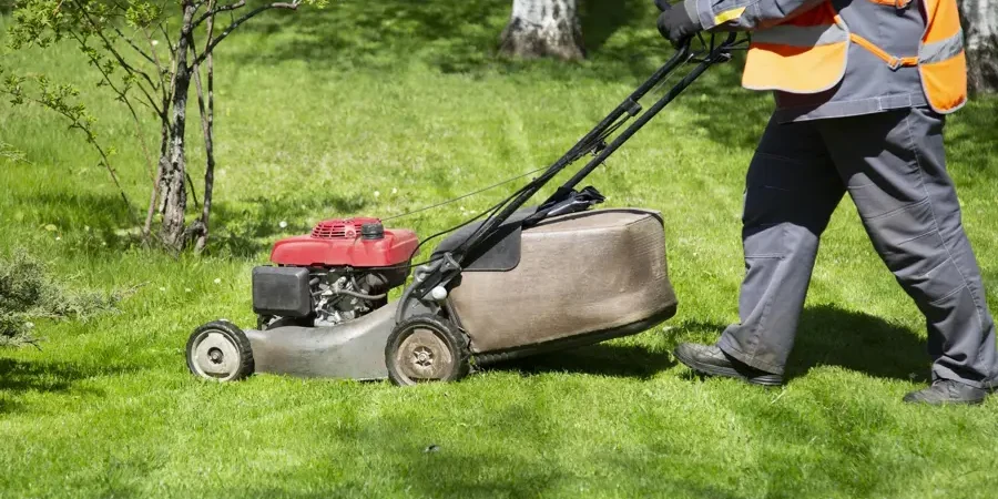 effective lawn care tips