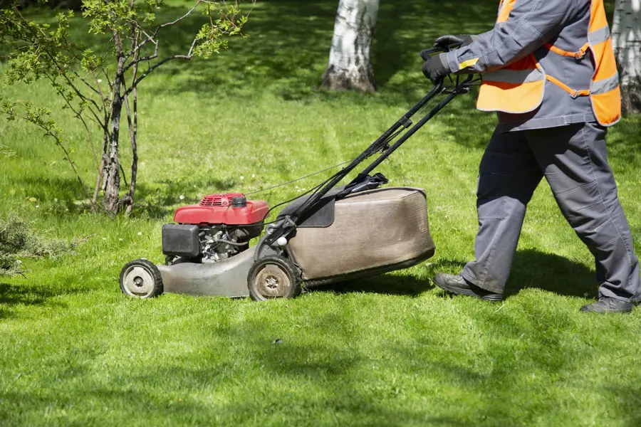 effective lawn care tips