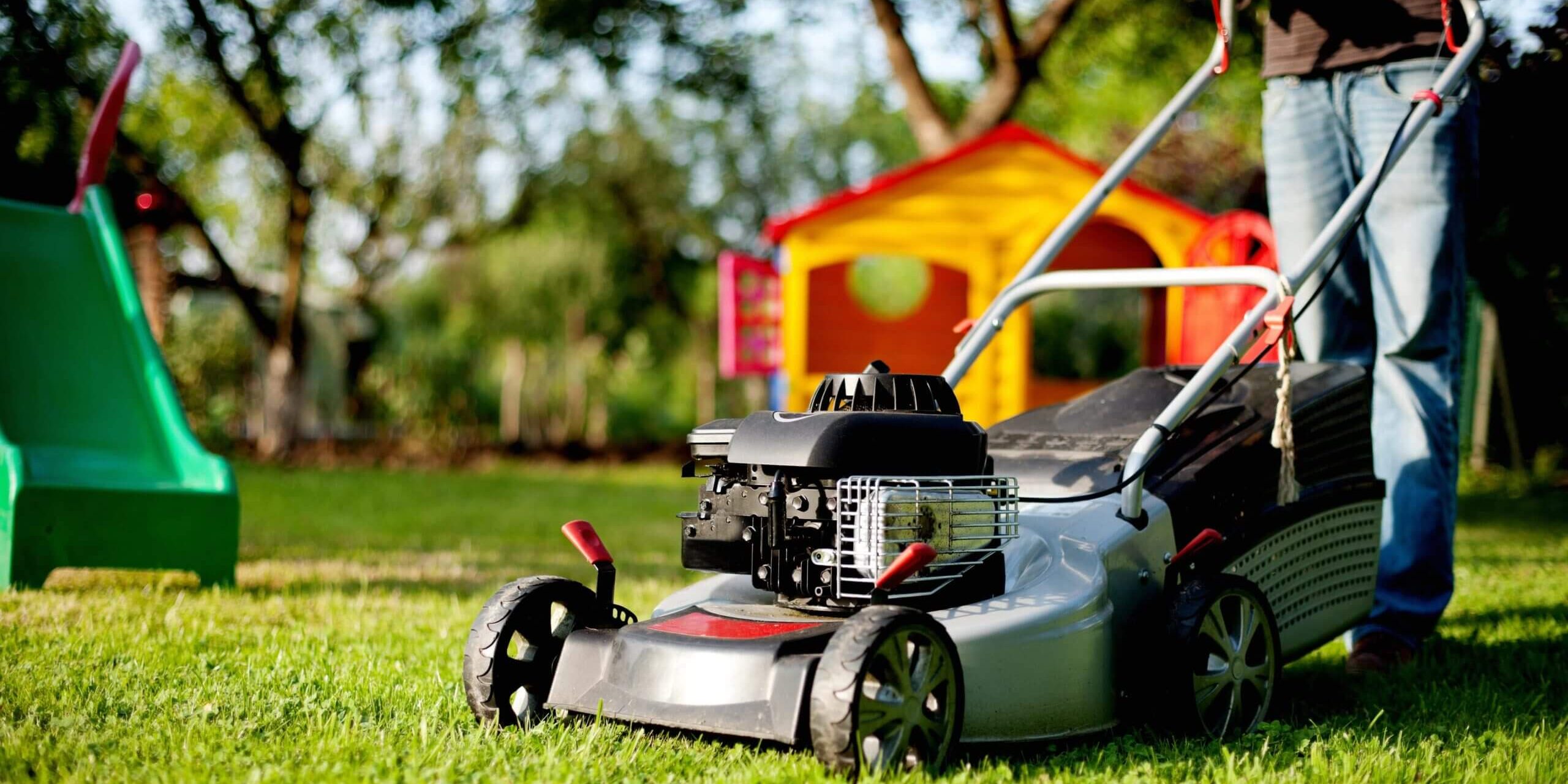 Best Lawn Care