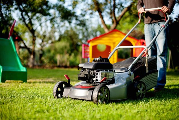 Best Lawn Care