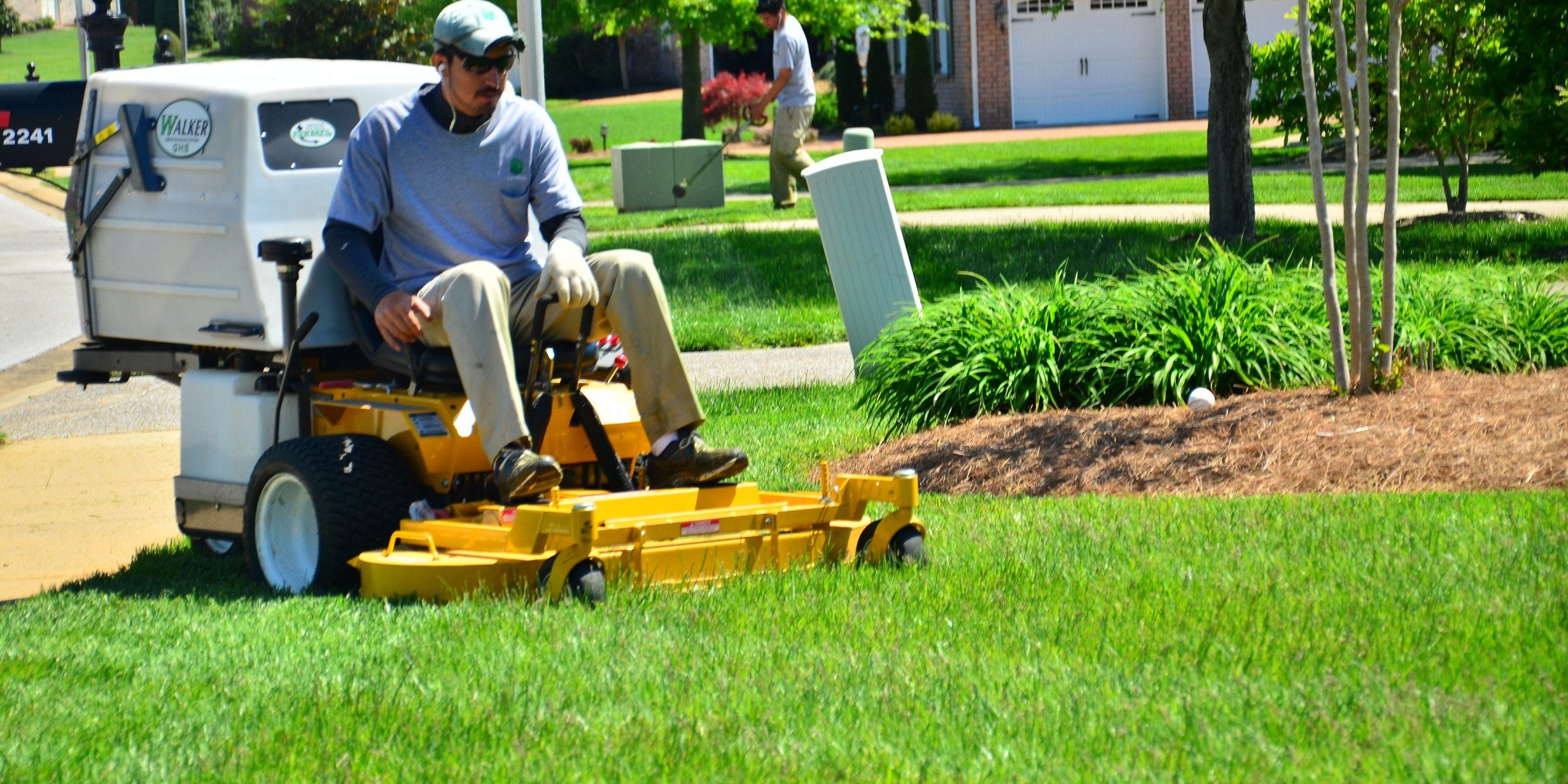 lawn care and maintenance