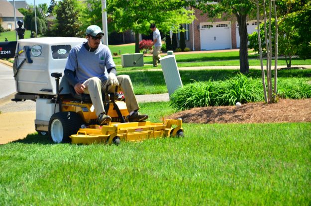 Best Lawn Care Service