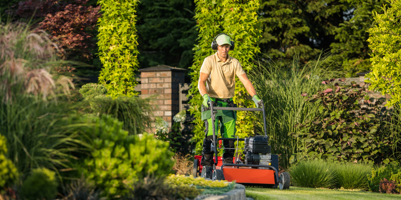 Landscaping and Lawn Care