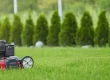 Lawn Mowing Services