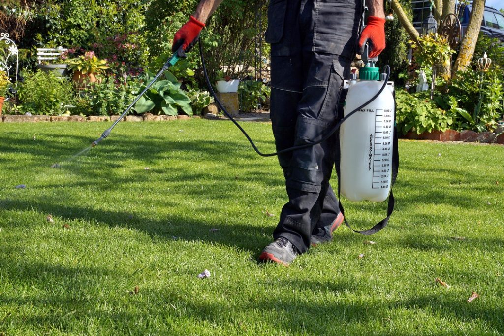 Professional Lawn Care