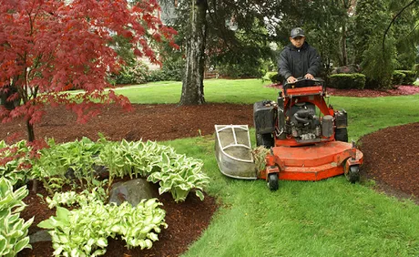 Quality Lawn Care Services