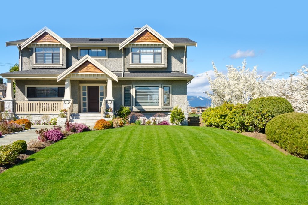 Residential Lawn Care