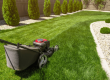 What is the Ideal Height for Mowing Grass