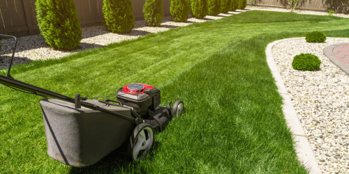 What is the Ideal Height for Mowing Grass