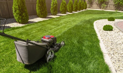 What is the Ideal Height for Mowing Grass