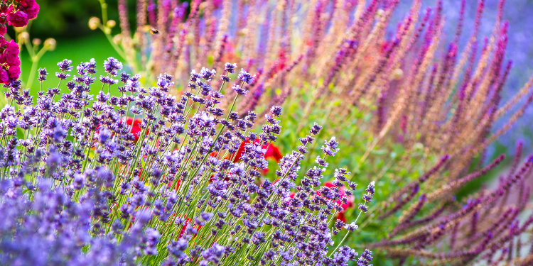 Pristine Landscaping Lighting Pristine Landscaping Lighting